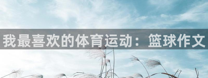 米兰体育官网下载平台假的吗是真的吗:我最喜欢的体育运动:篮球