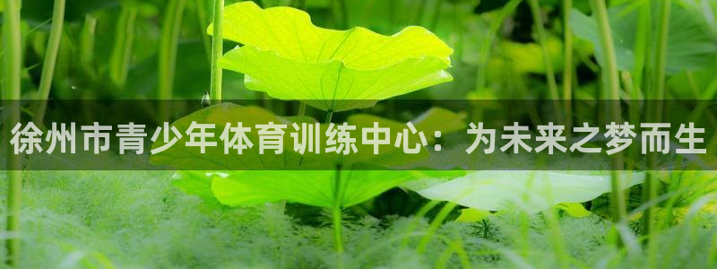 米兰体育官方正版app娱乐首页网站大全:徐州市青少年体育训练