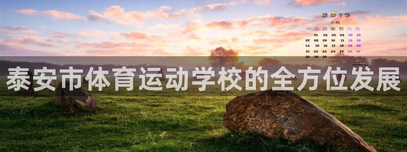 米兰体育官网下载招商电话:泰安市体育运动学校的全方位发展